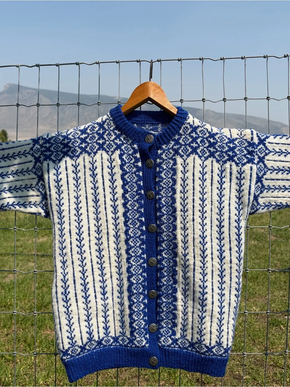 Blue and White Nordic Knit Button-Up Sweater - women’s